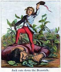 Jack Cuts Down the Beanstalk
